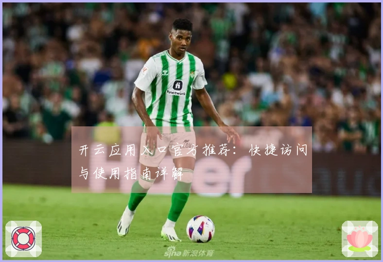 开云应用入口官方推荐：快捷访问与使用指南详解